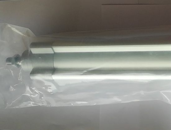 Hot Festo Pneumatic Cylinder Original Dsbc-40-195-Ppva-N3